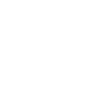 leo_burnett
